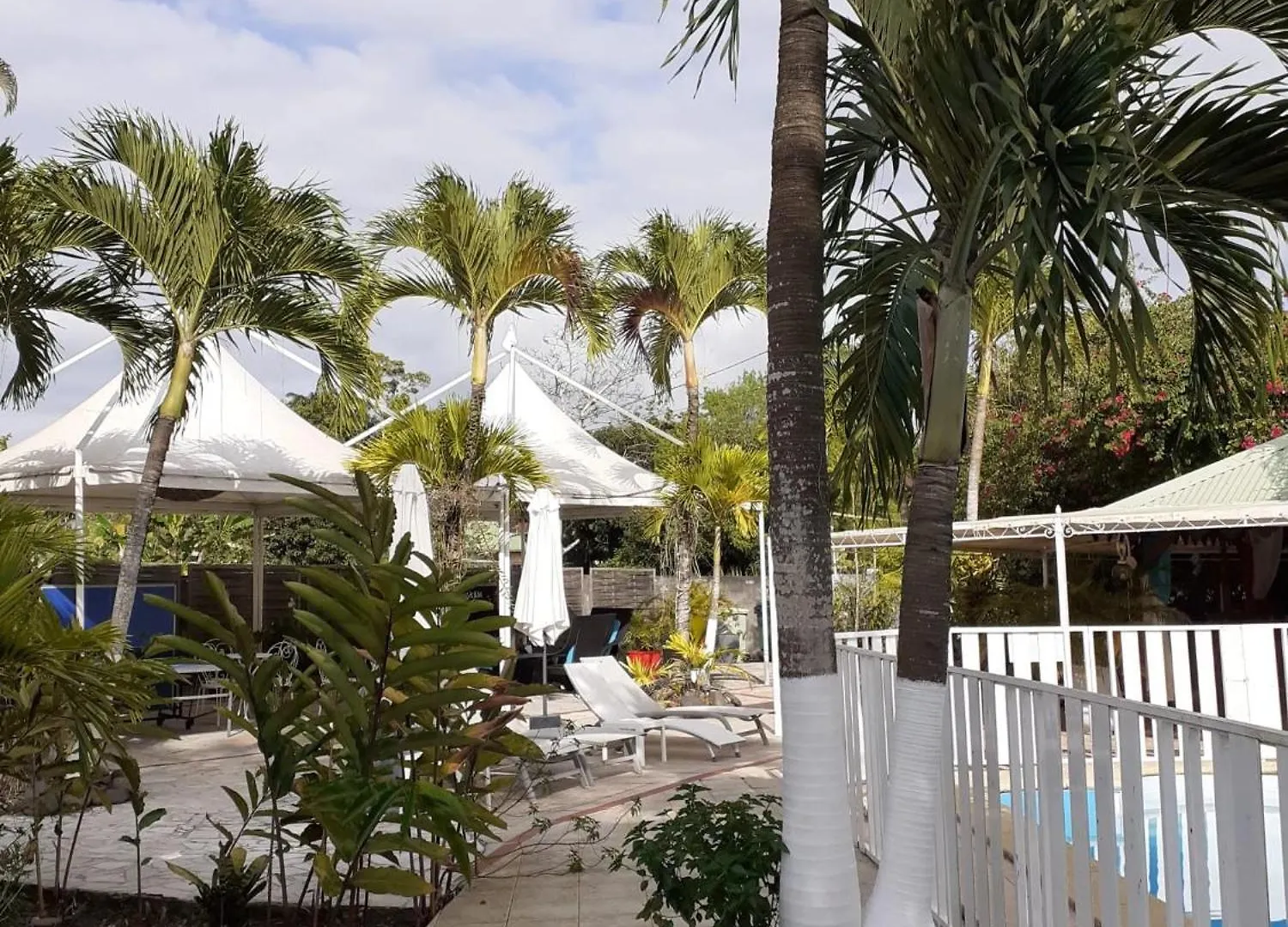 Bungalow Cosy A Sainte-Rose, Piscine Et Vue Sur Jardin. 0*, Sainte-Rose
