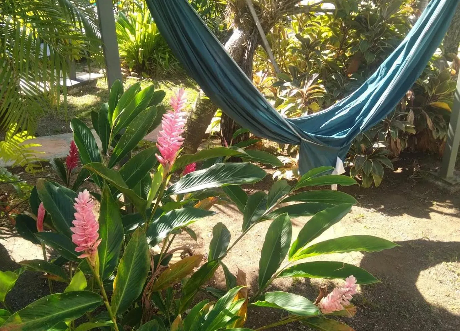 Bungalow Cosy A Sainte-Rose, Piscine Et Vue Sur Jardin.