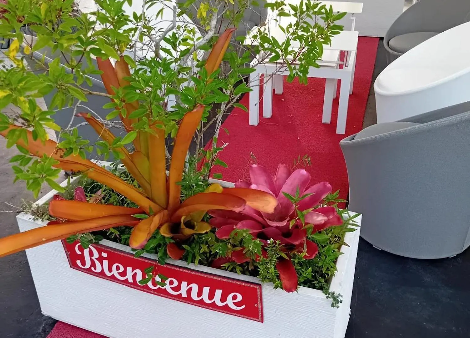 Bungalow Cosy A Sainte-Rose, Piscine Et Vue Sur Jardin. Sainte-Rose
